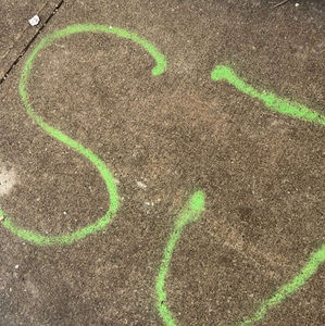 Meet your Posher, Shahiem